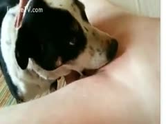 Teenager widens her legs for oral from the dog
